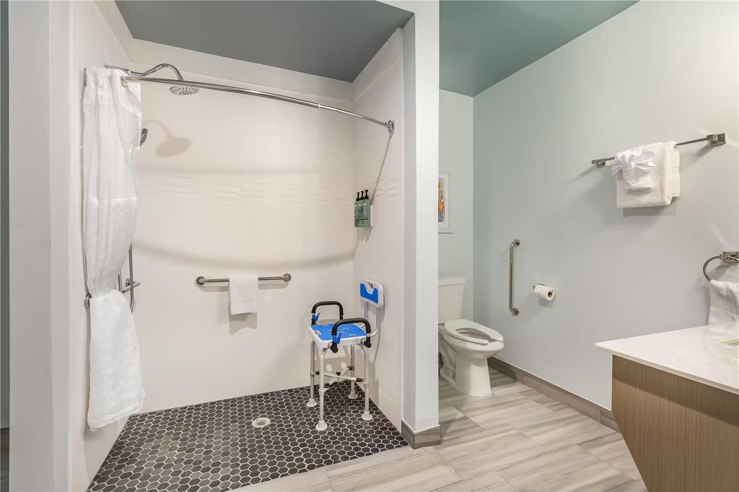 Ada Bathroom