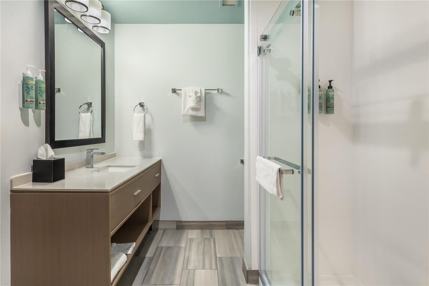 Vanity Area